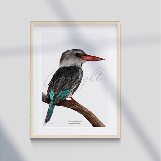 Brown-hooded kingfisher - A5 print
