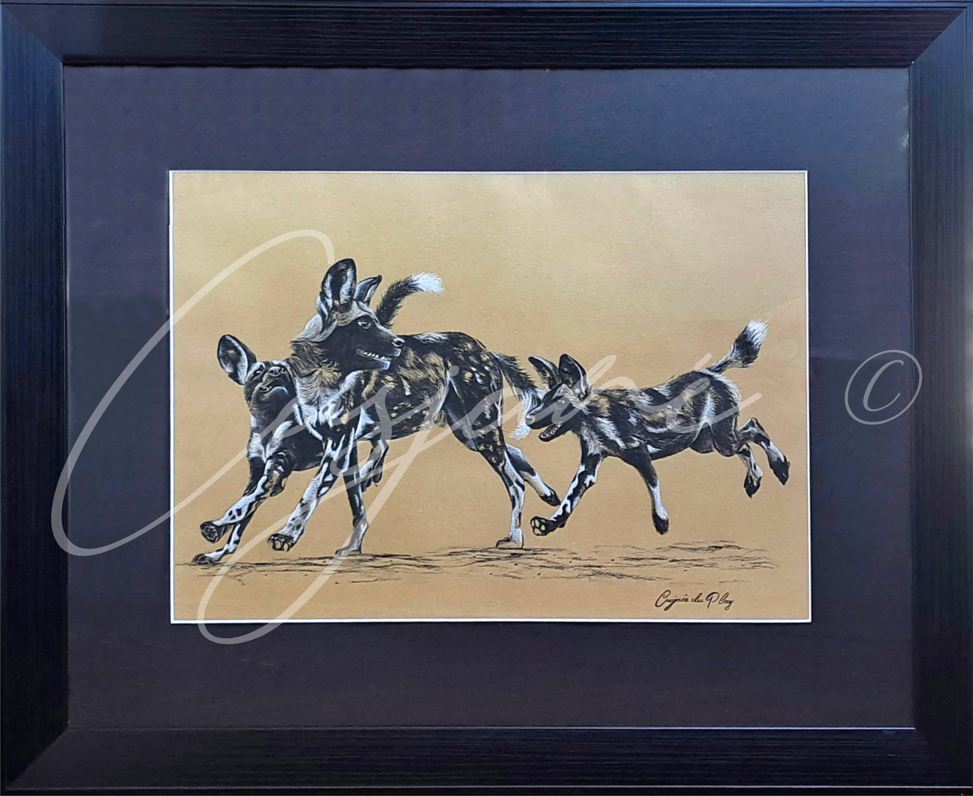 Playfulness - Casjané du Plooy Art