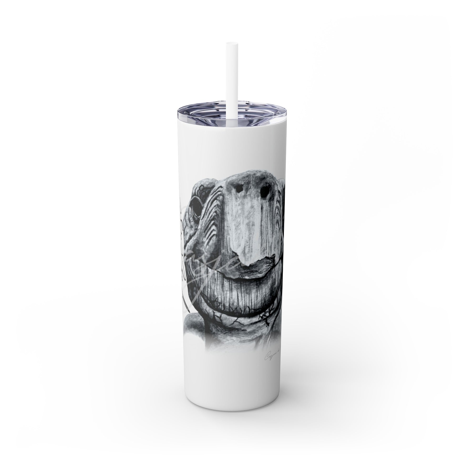 Tortoise 20oz Skinny Tumbler - Casjané du Plooy Art