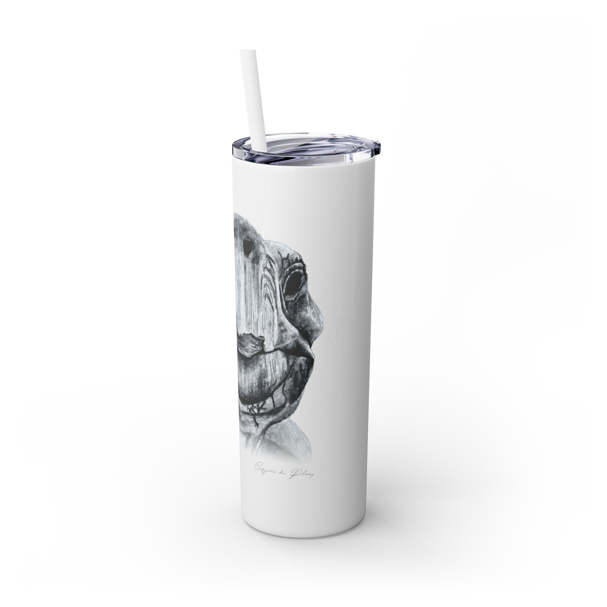 Tortoise 20oz Skinny Tumbler - Casjané du Plooy Art