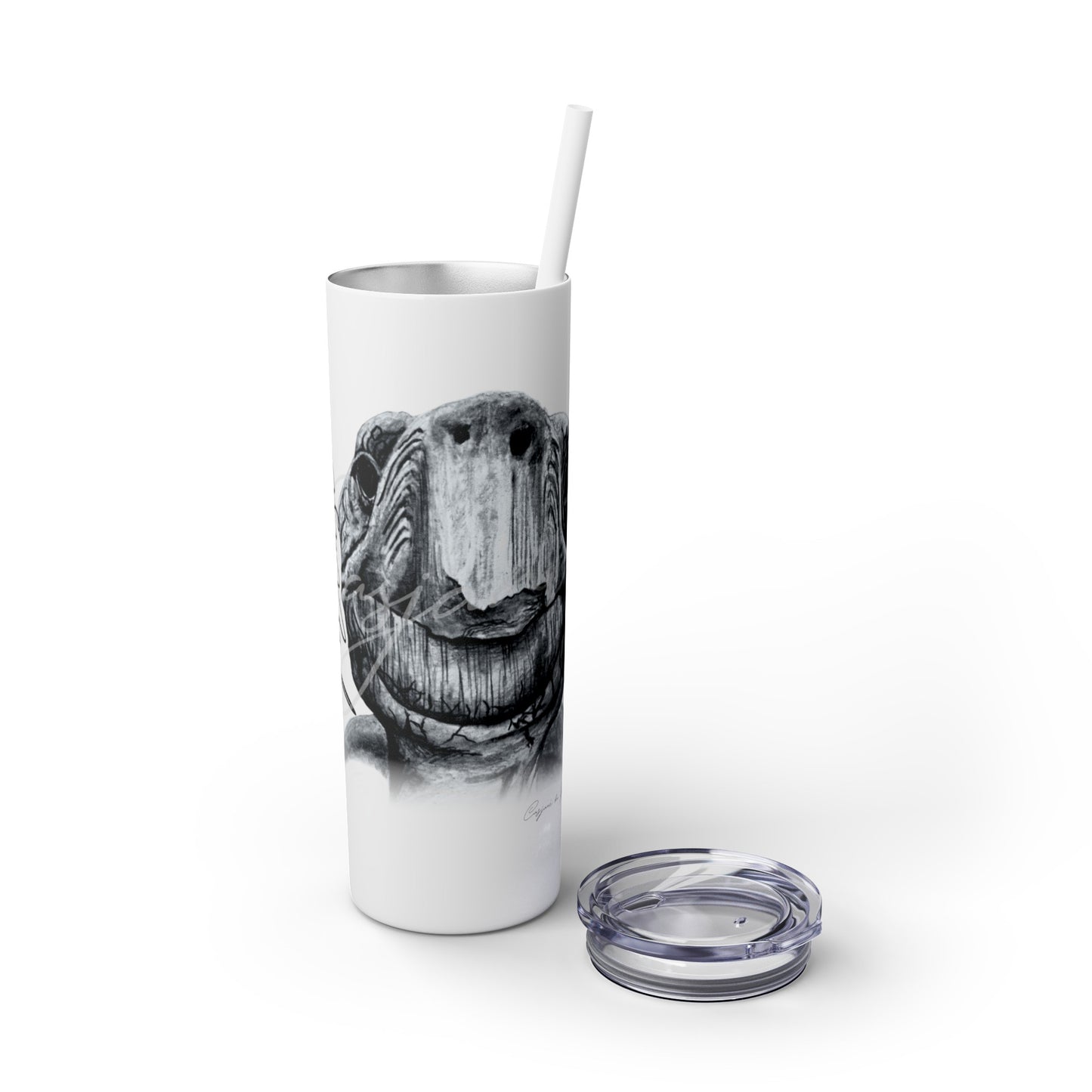 Tortoise 20oz Skinny Tumbler - Casjané du Plooy Art