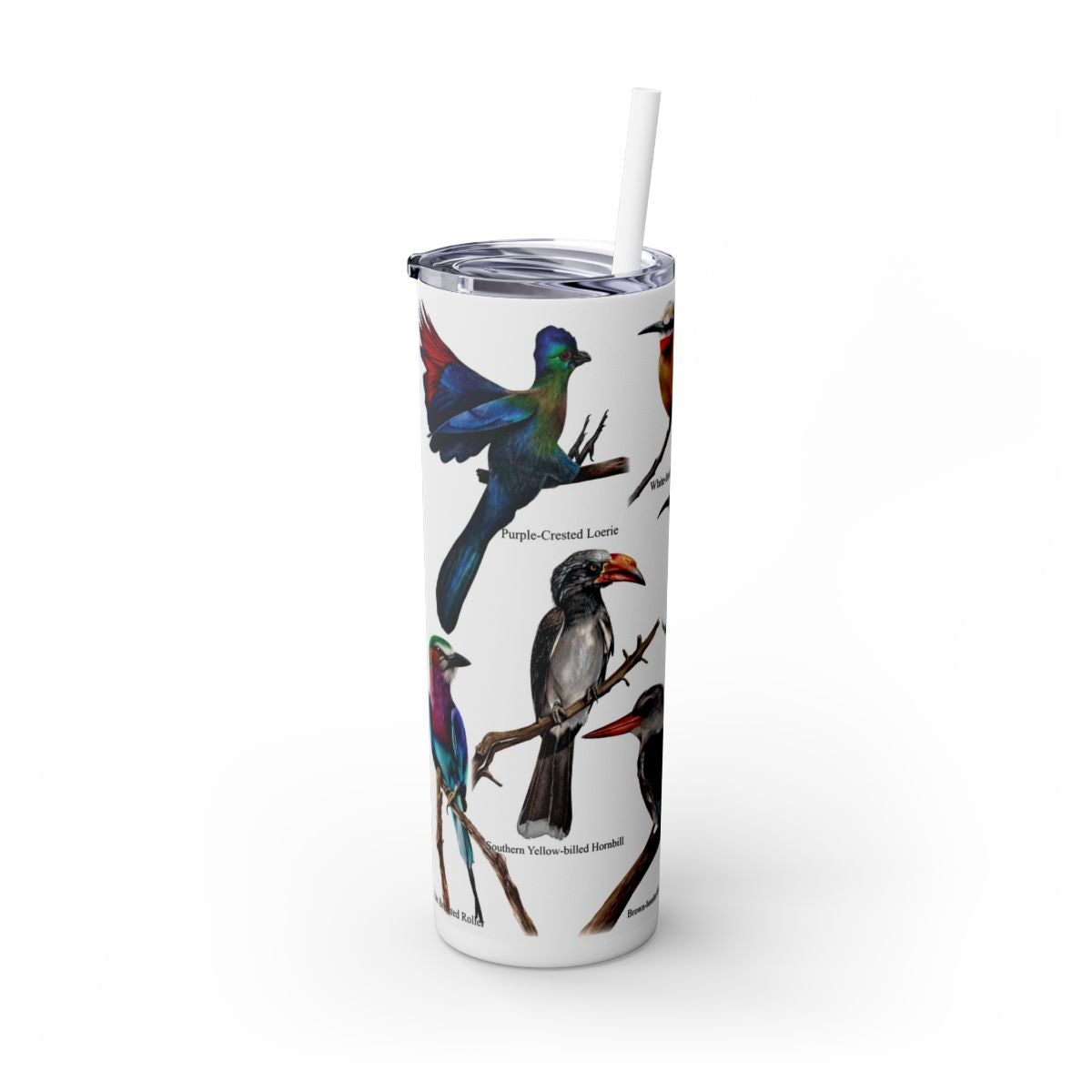 Bird collection  20oz Stainless Steel Tumbler view 2 hand-drawn by Casjane du plooy art