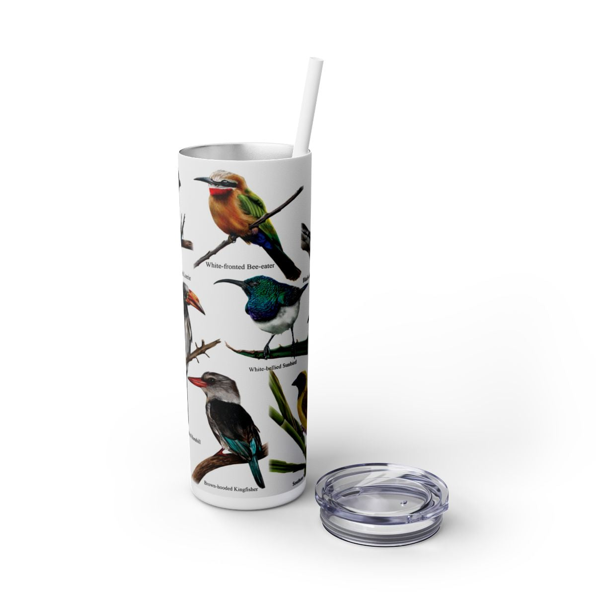 Bird collection  20oz Stainless Steel Tumbler with lid on side hand-drawn by Casjane du plooy art