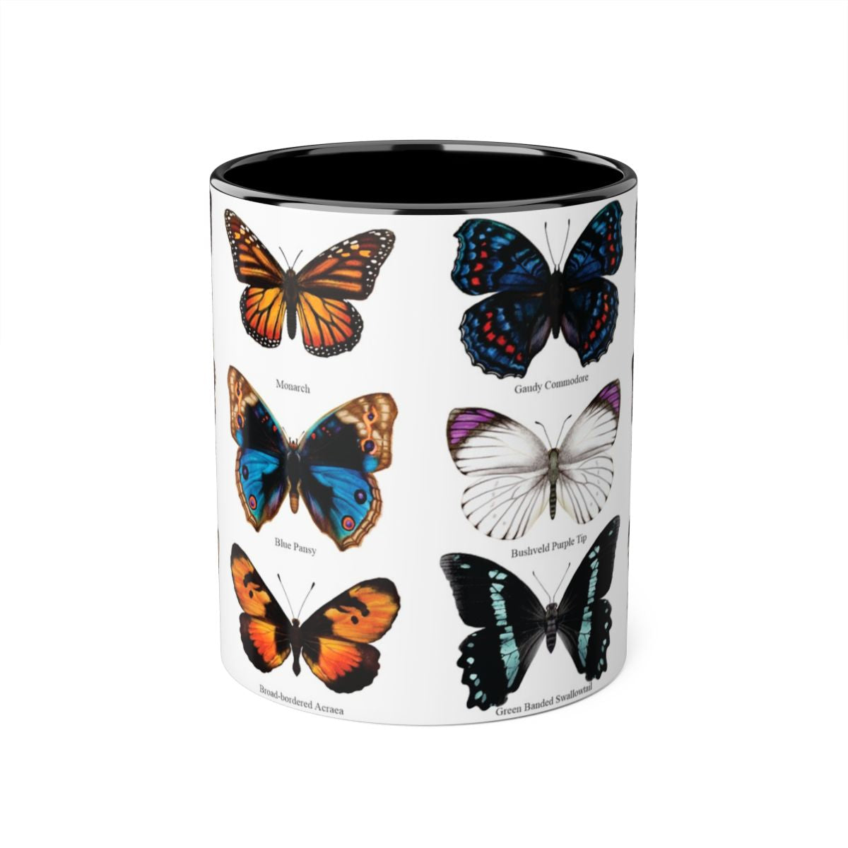 Butterfly ceramic coffee mug front view - hand-drawn by Casjané du plooy art