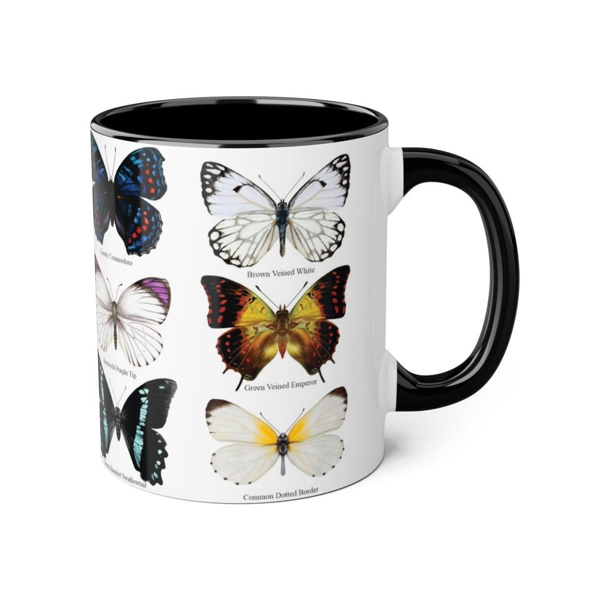 Butterfly ceramic coffee mug right view - hand-drawn by Casjané du plooy art