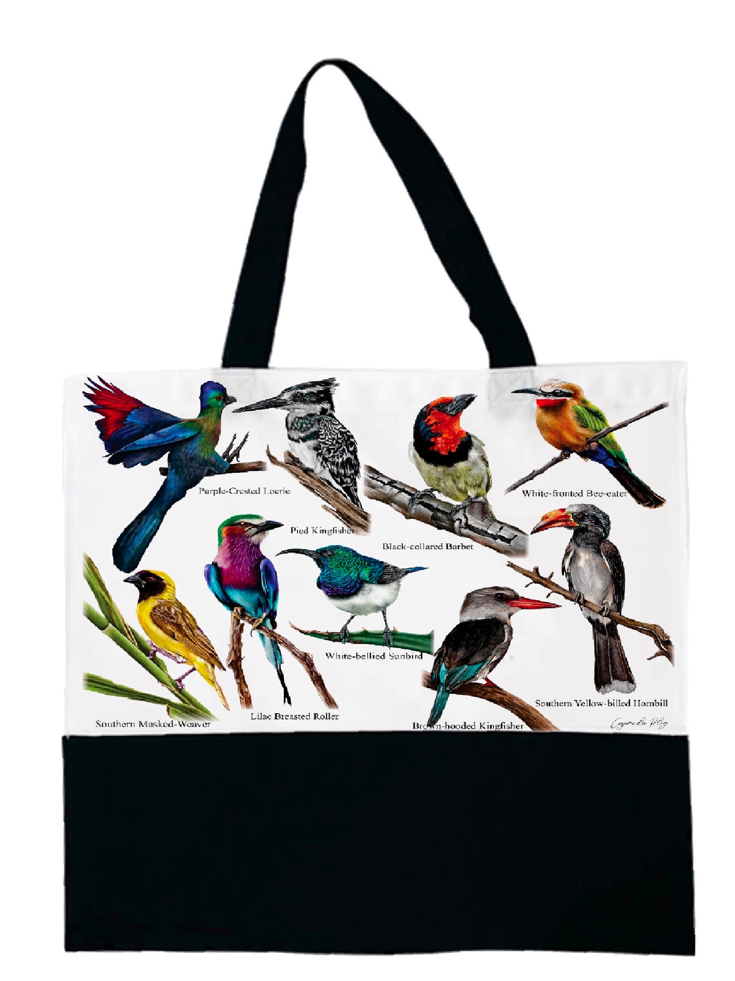 The Backyard Bird Collection Tote Bag