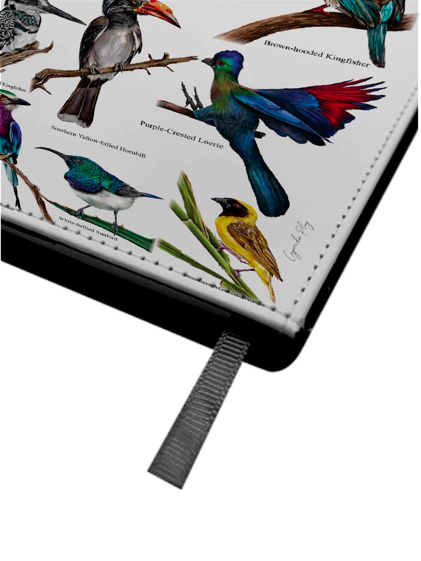 The Backyard Bird Collection A5 Detachable Folio Notebook