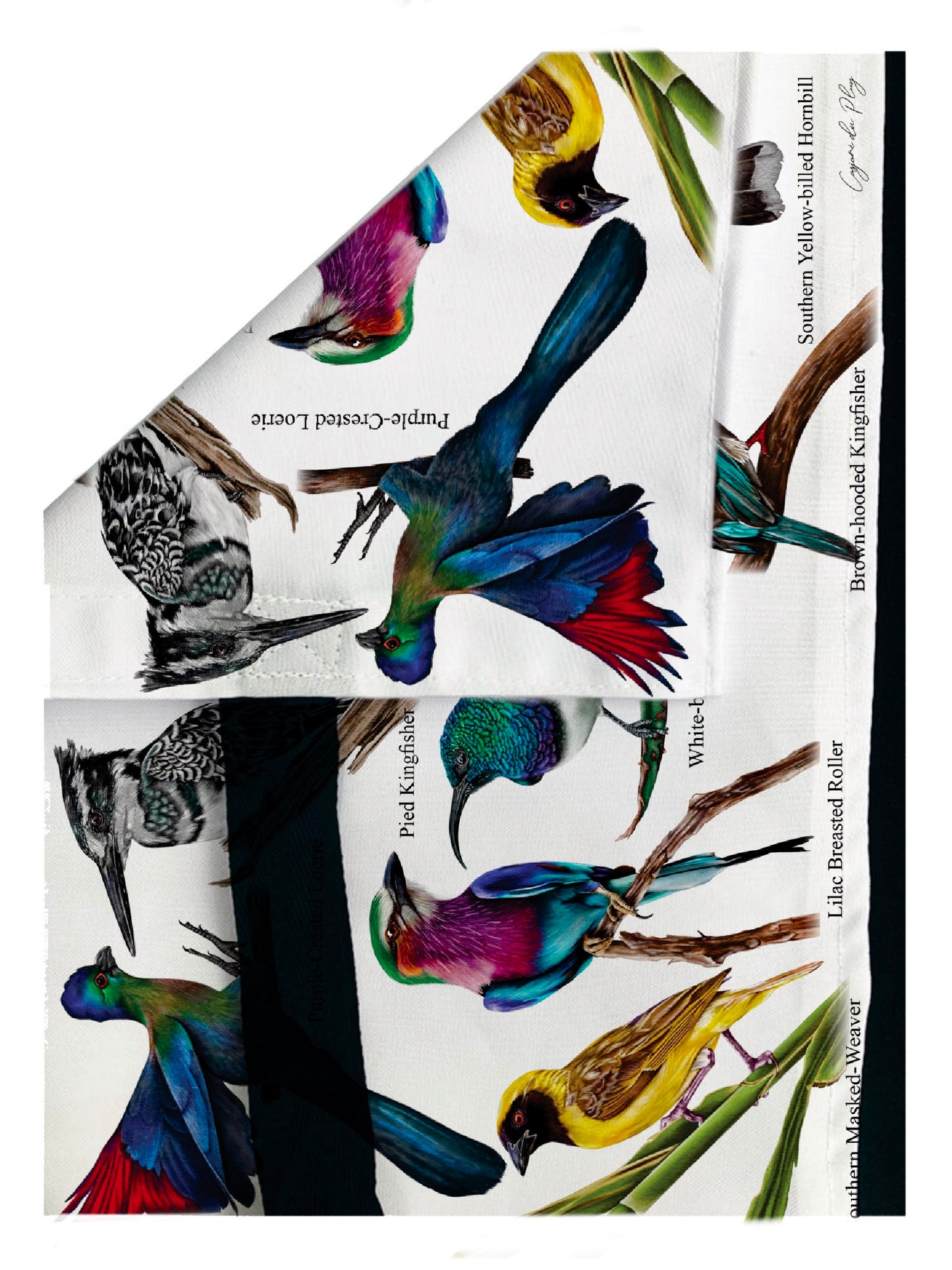 The Backyard Bird Collection Tote Bag