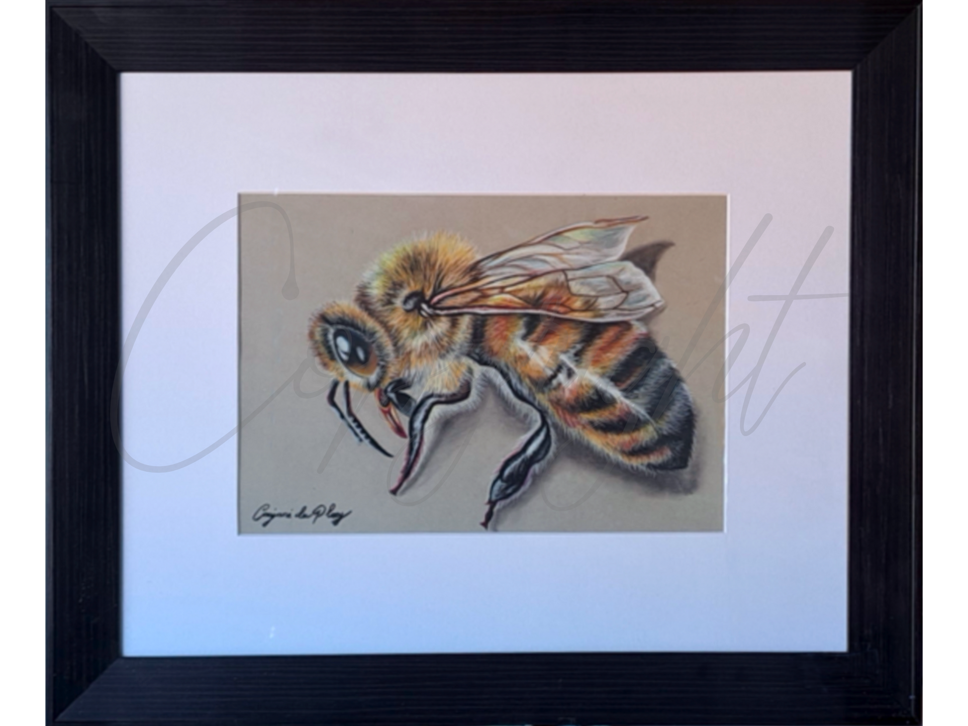 Hand sketched bee in pastel done by Casjané du plooy art