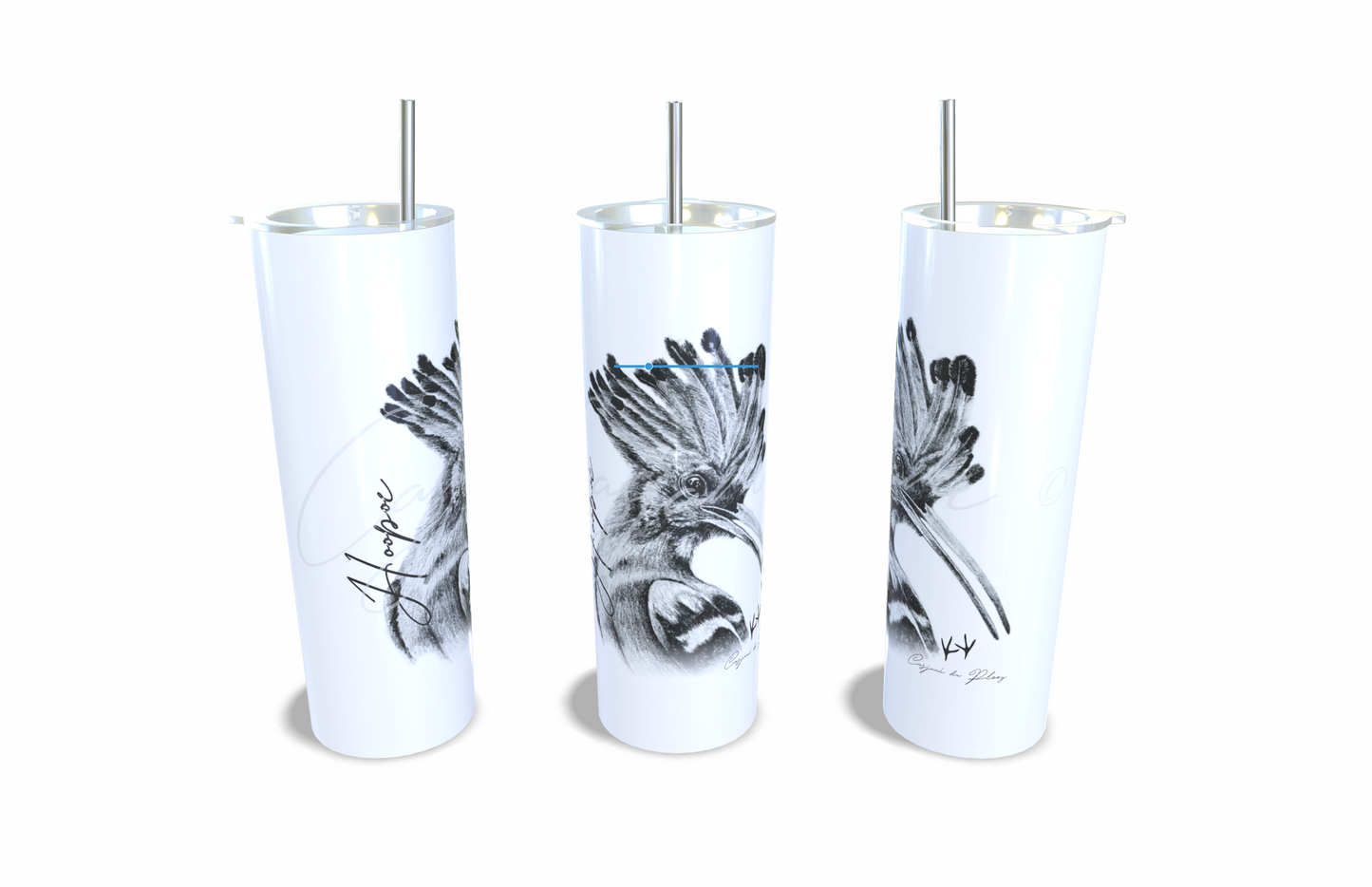 Hoopoe 20oz Stainless Steel Tumbler full front view hand-drawn by Casjane du plooy art