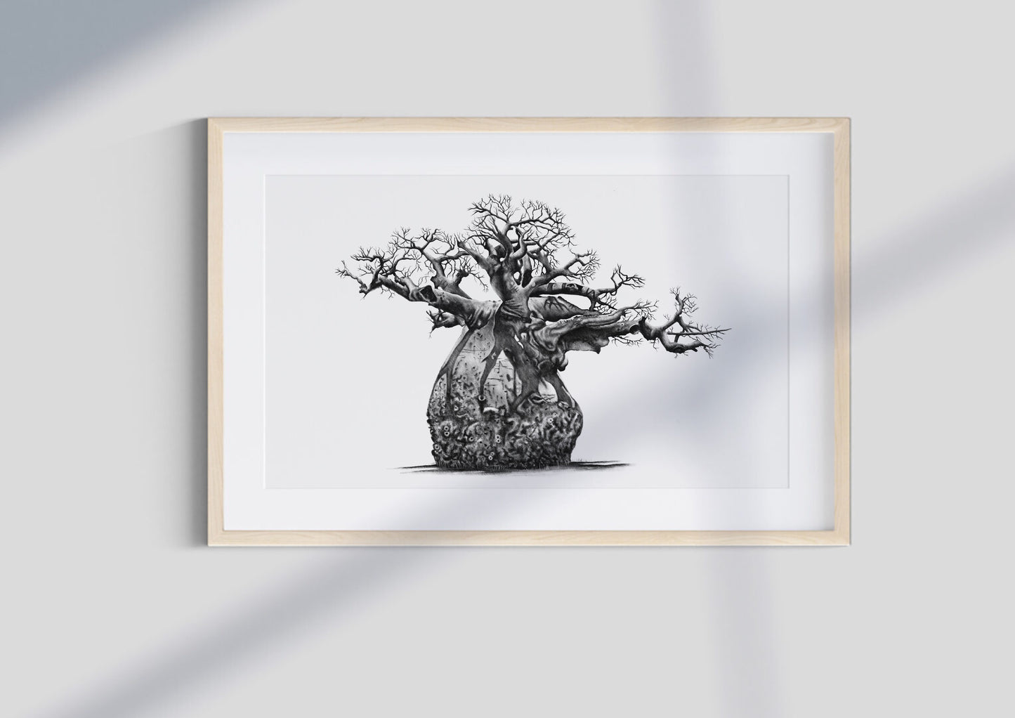 Baobab Tree
