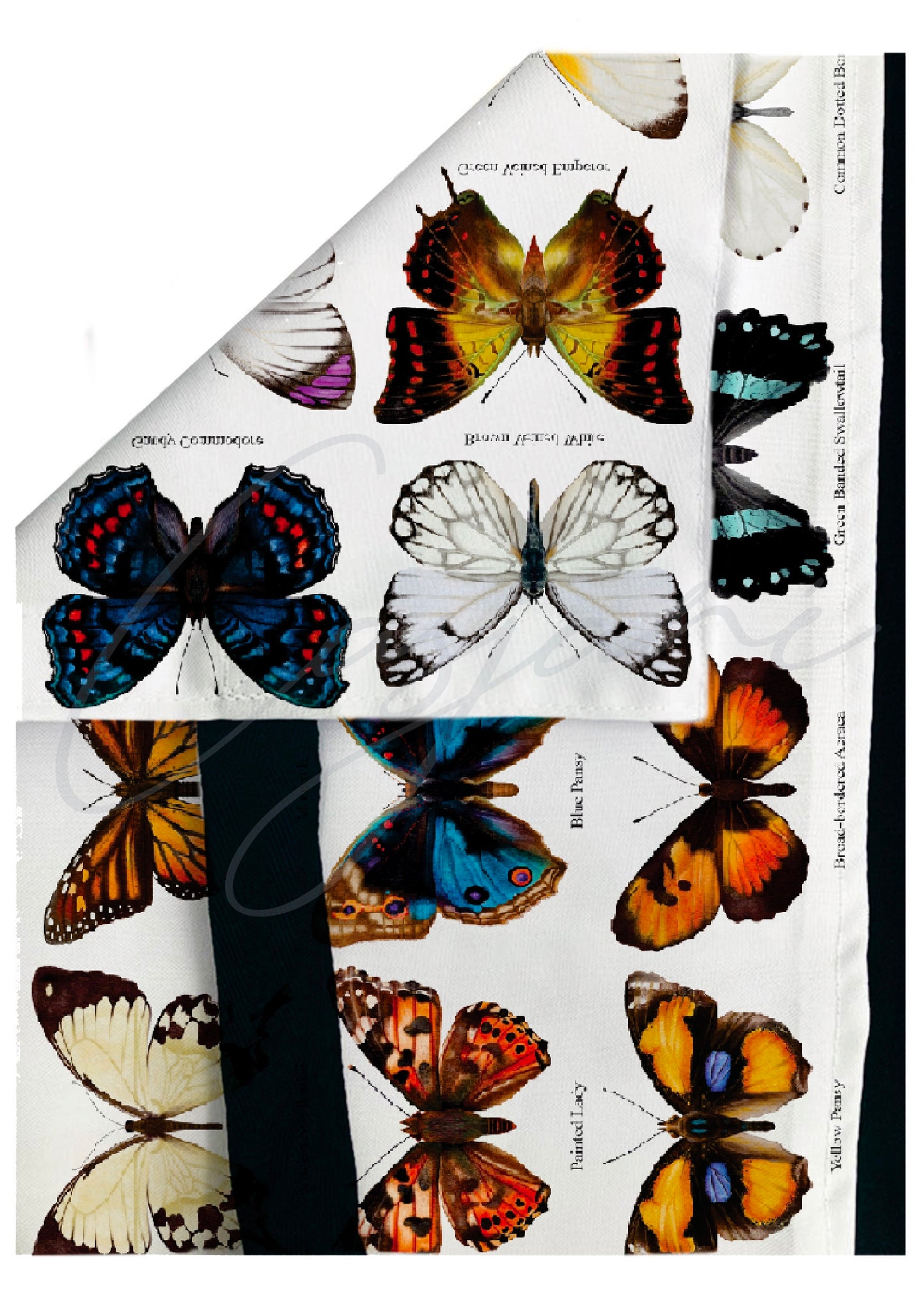 Butterfly Collection Tote Bag