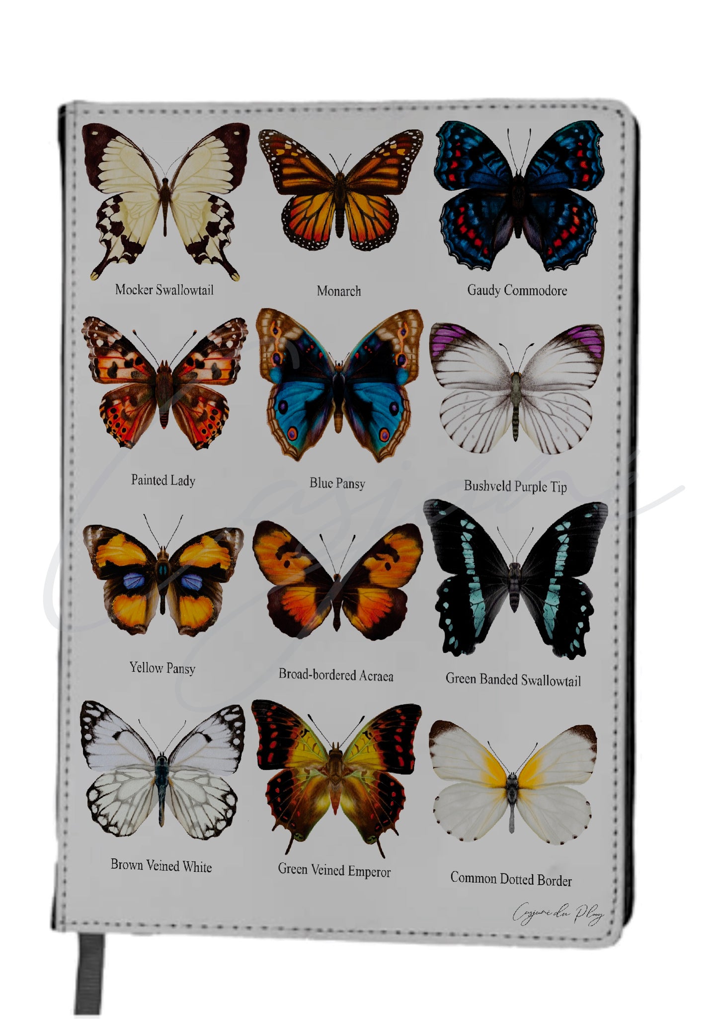 The Butterfly Collection A5 Detachable Folio Notebook