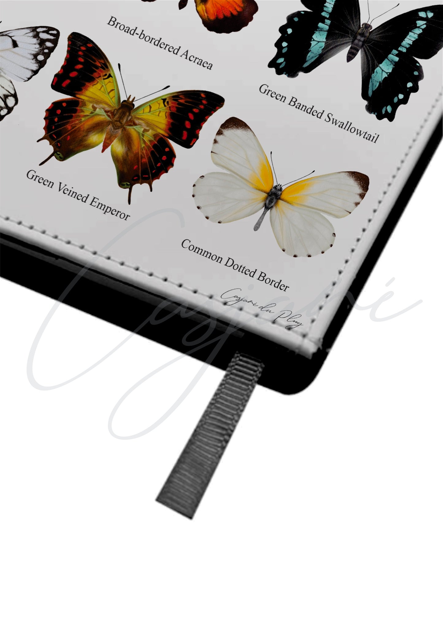 The Butterfly Collection A5 Detachable Folio Notebook