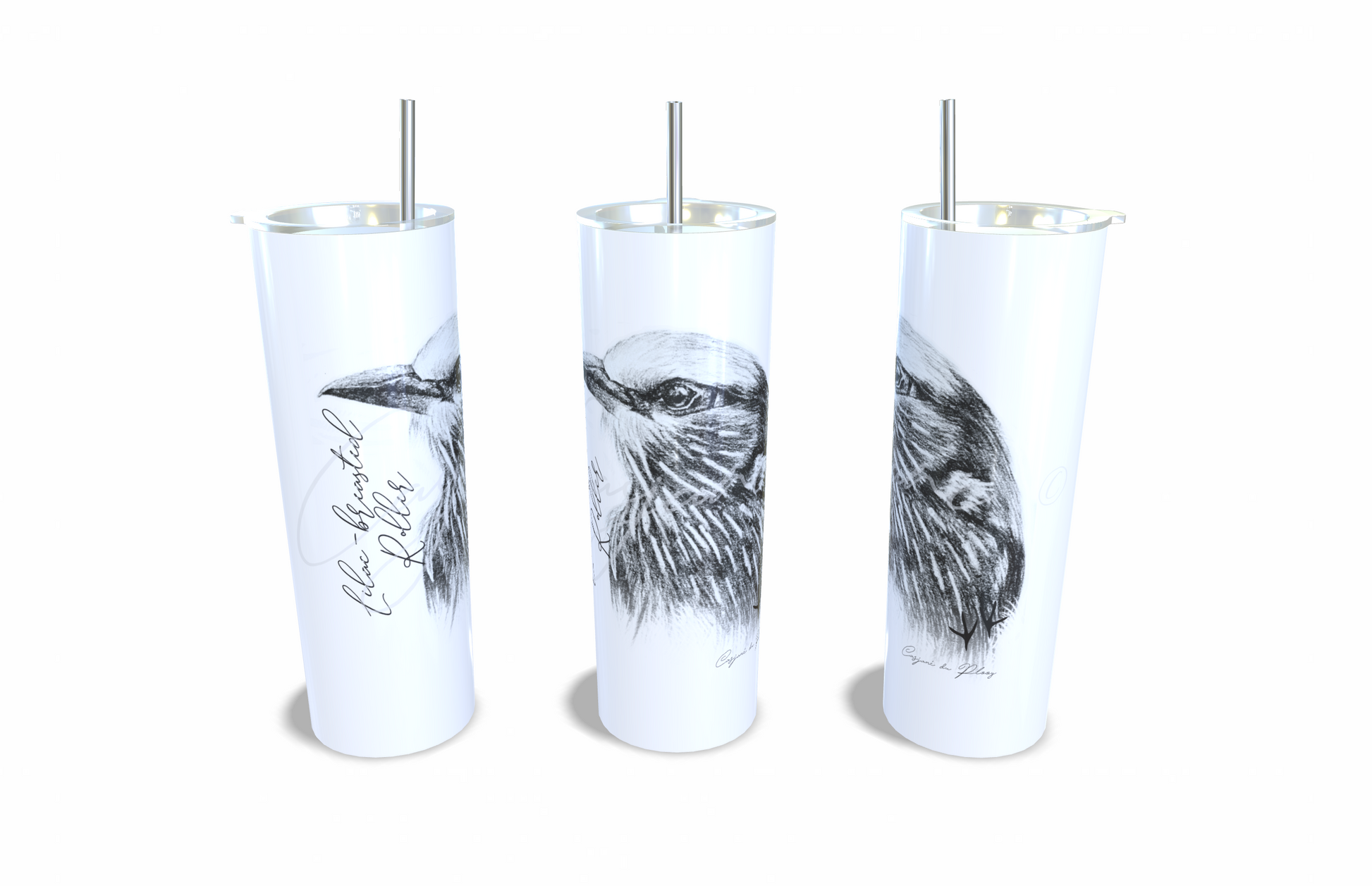 Lilac - Breasted Roller 20oz Stainless Steel Tumbler full front view hand-drawn by Casjane du plooy art
