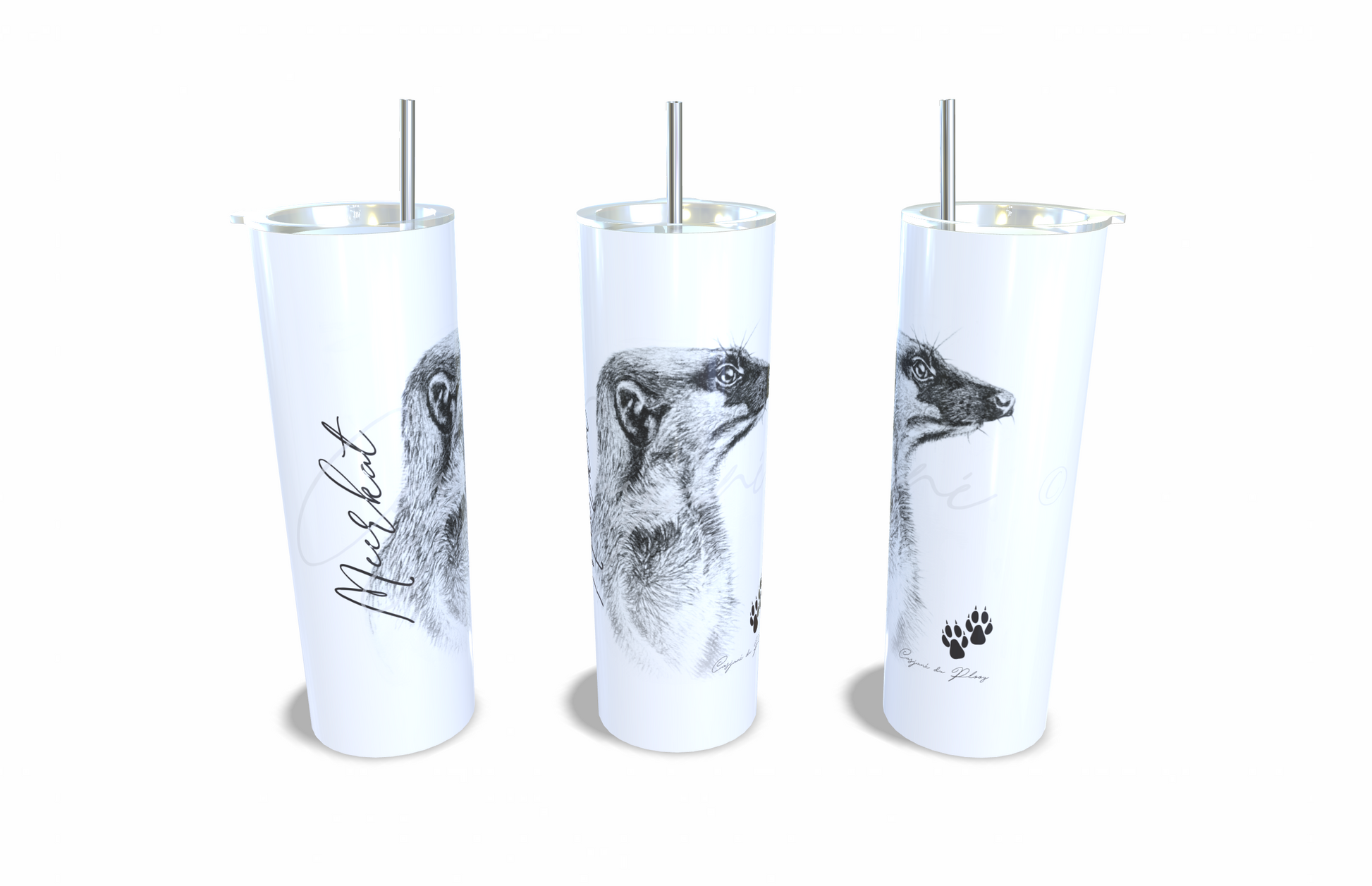 Meerkat 20oz Stainless Steel Tumbler full front view hand-drawn by Casjane du plooy art
