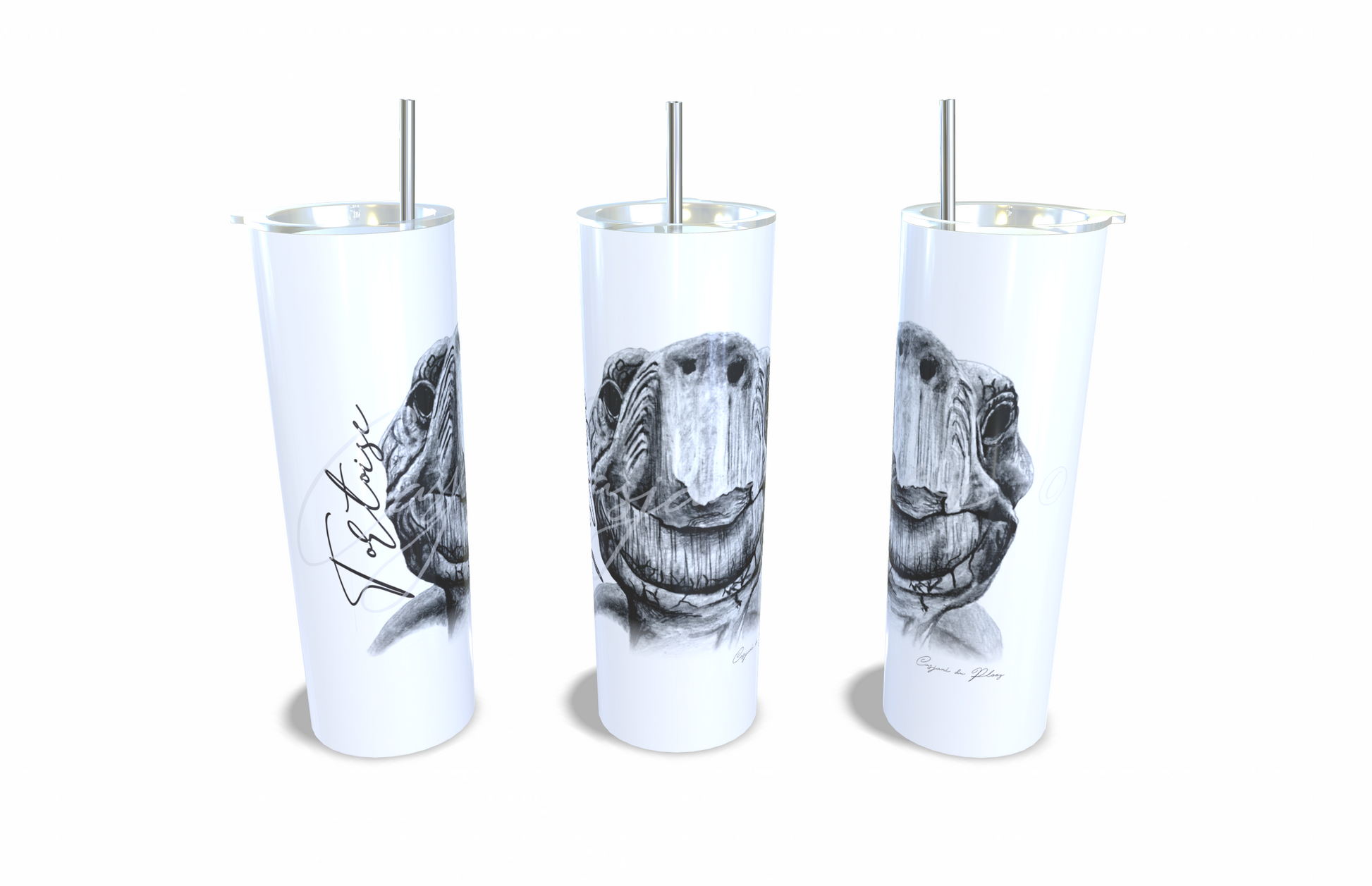 Tortoise 20oz Stainless Steel Tumbler full front view hand-drawn by Casjane du plooy art