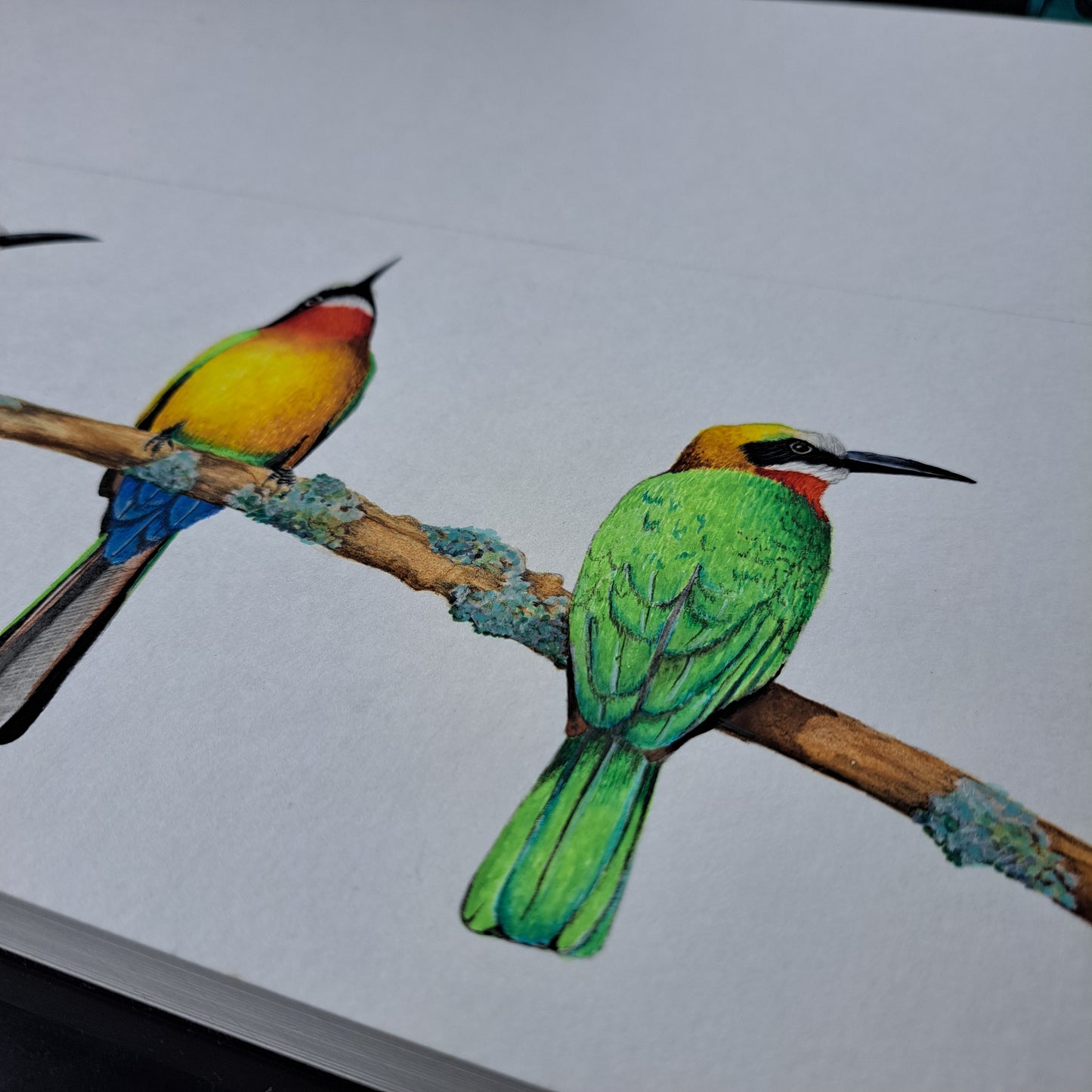 Morning Council – Original hand painted watercolor (420 × 148 mm)