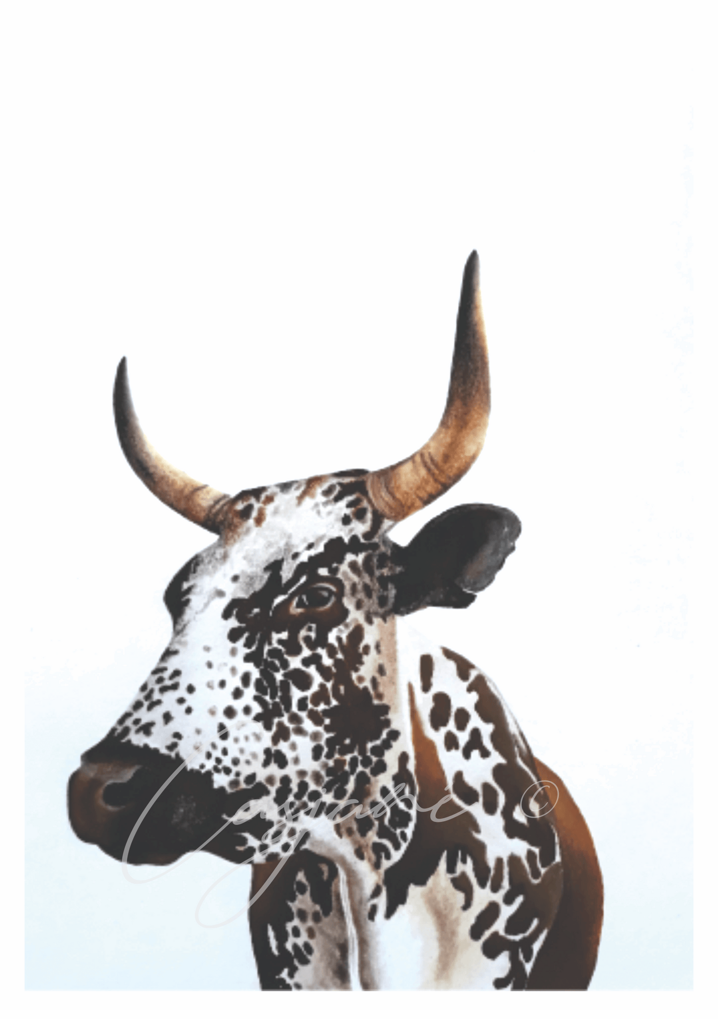 Nguni - Casjané du Plooy Art