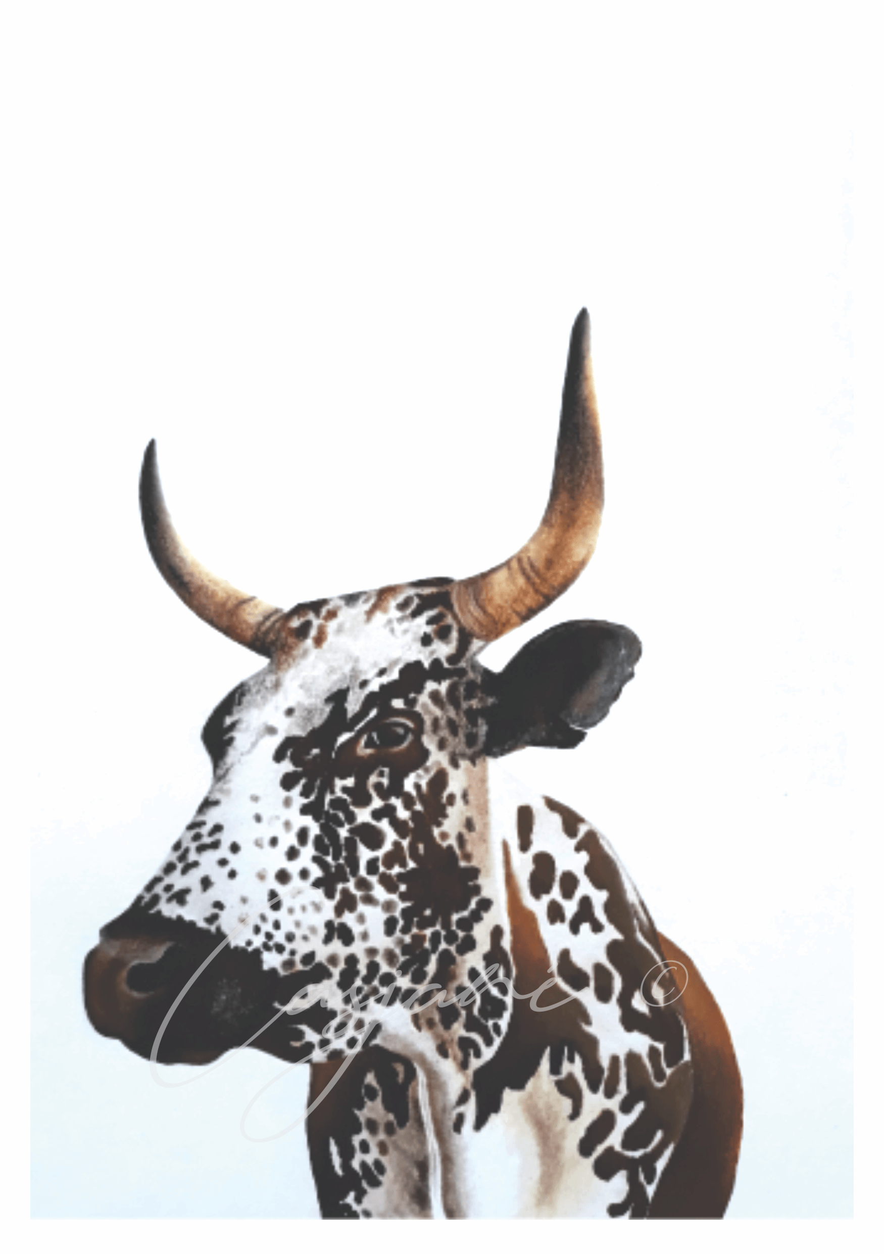 Nguni - Casjané du Plooy Art
