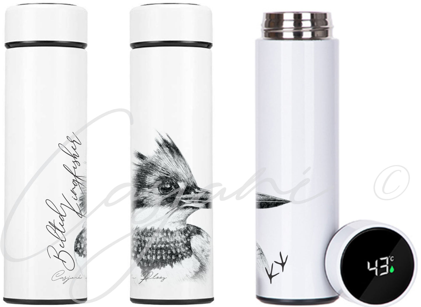 Belted Kingfisher 450ml Thermal flask - Casjané du Plooy Art