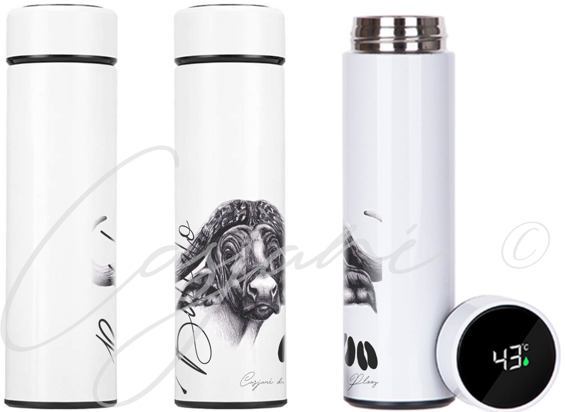 Buffalo 450ml Thermal flask - Casjané du Plooy Art