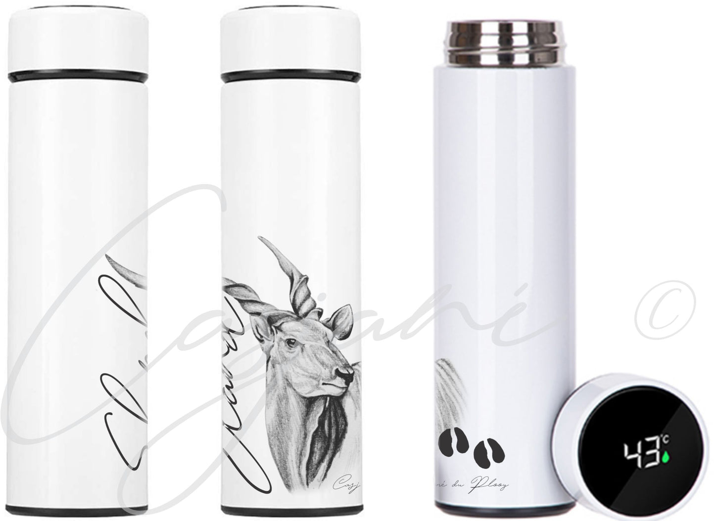 Eland 450ml Thermal flask - Casjané du Plooy Art