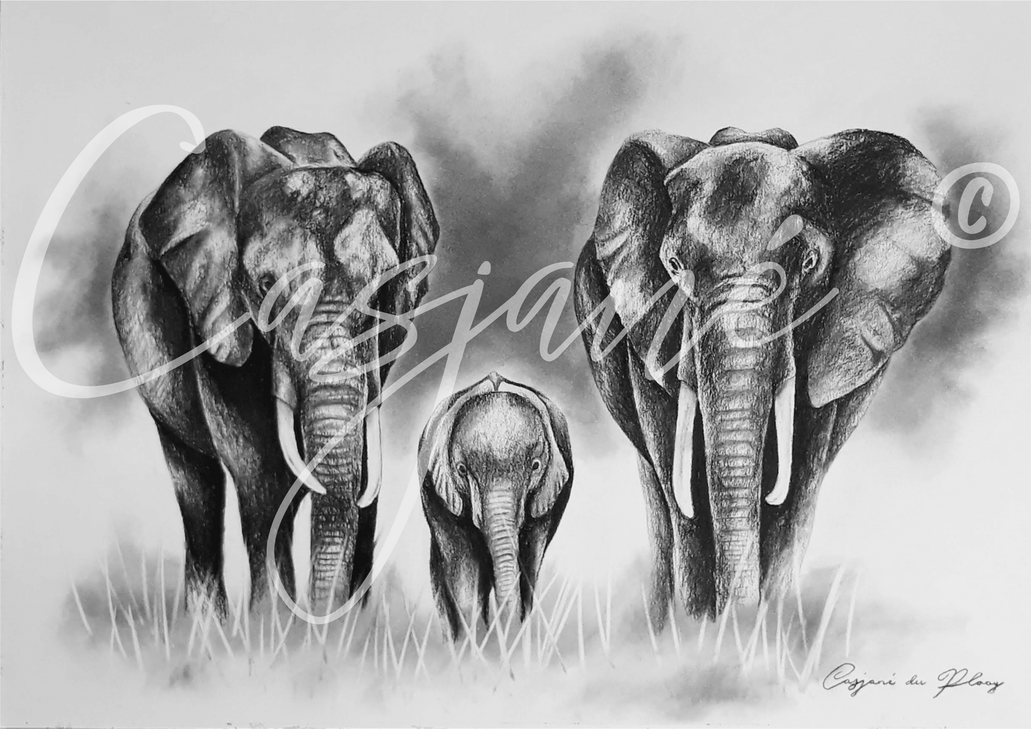 Family - Casjané du Plooy Art
