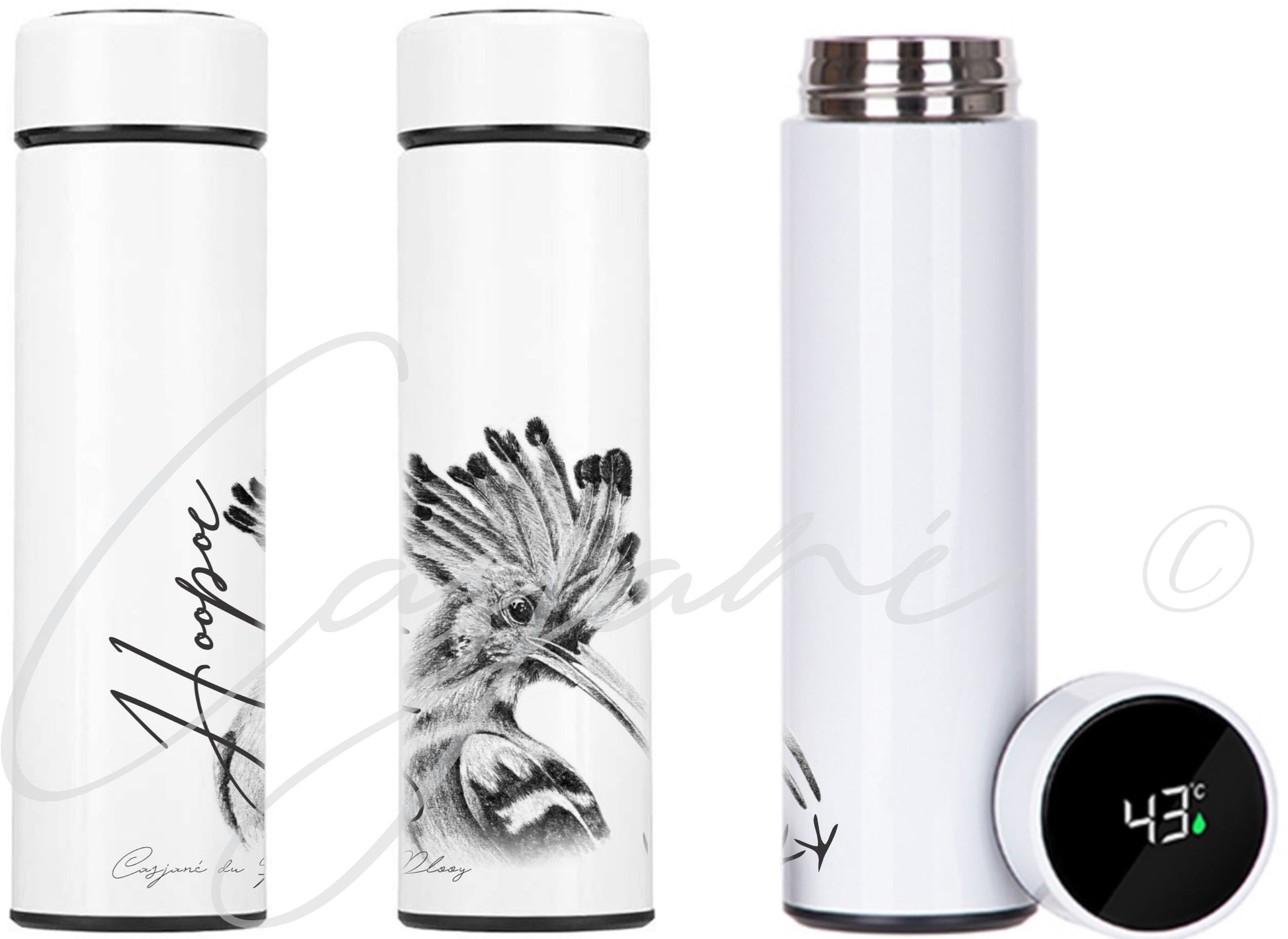 Hoopoe 450ml Thermal flask - Casjané du Plooy Art