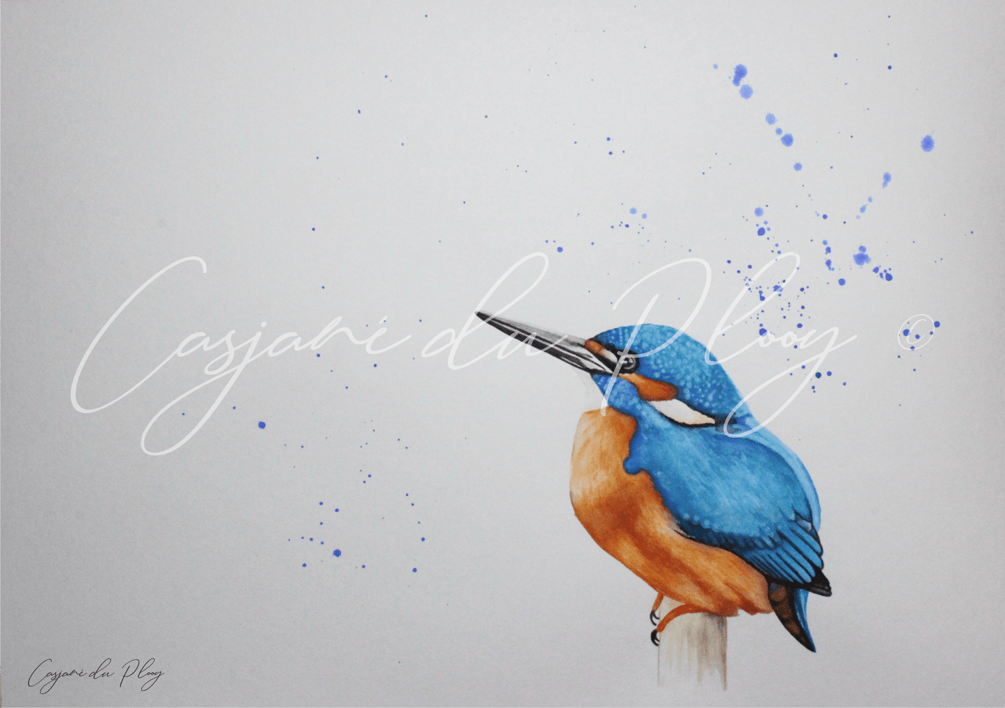 Kingfisher - Casjané du Plooy Art