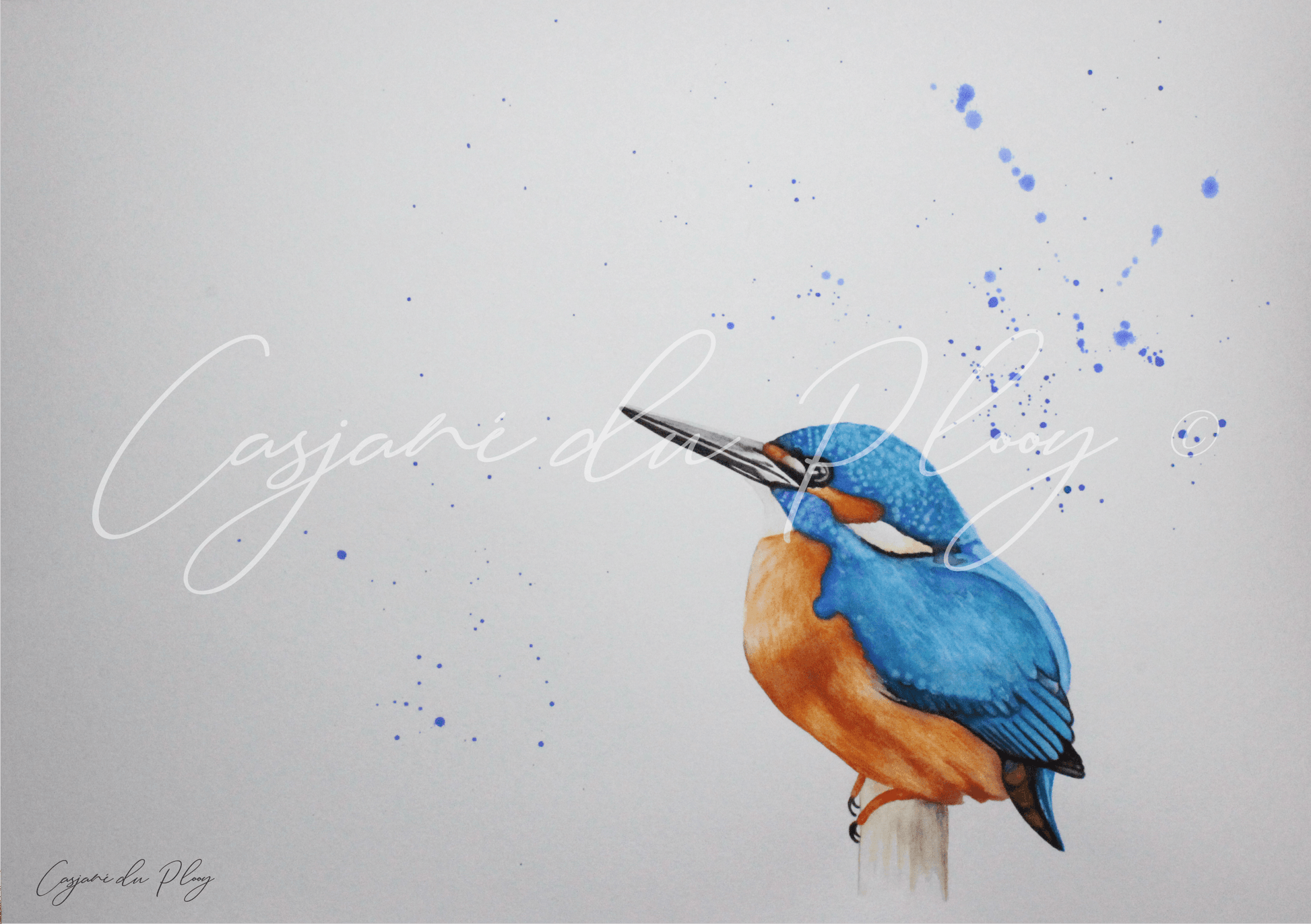 Kingfisher - Casjané du Plooy Art