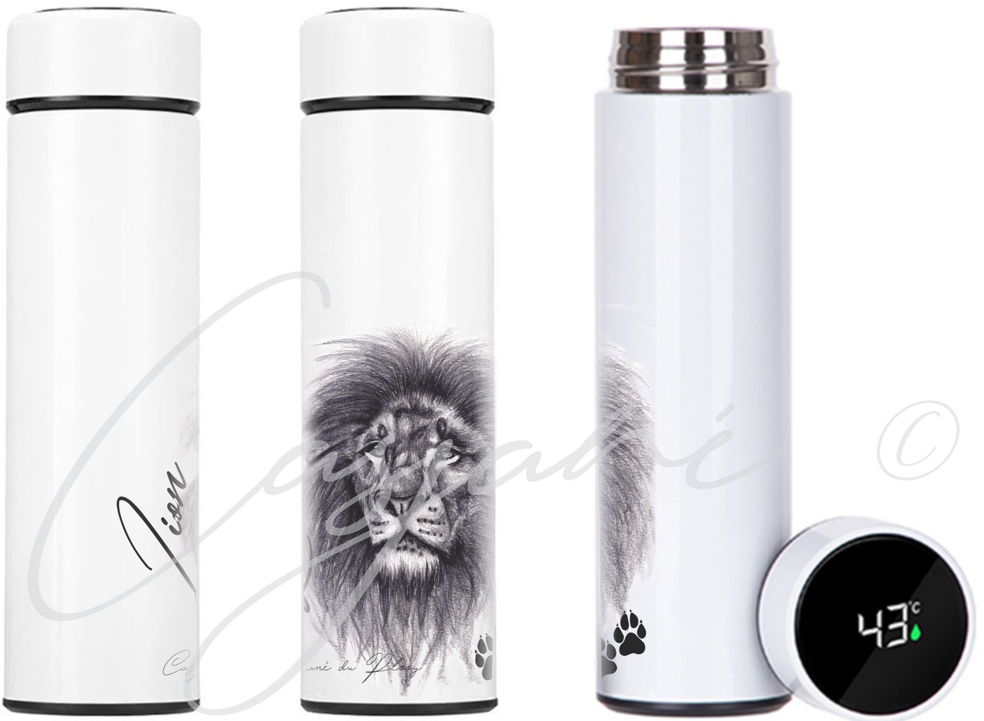 Lion 450ml Thermal flasks front view - Hand-Drawn by Casjané du plooy Art