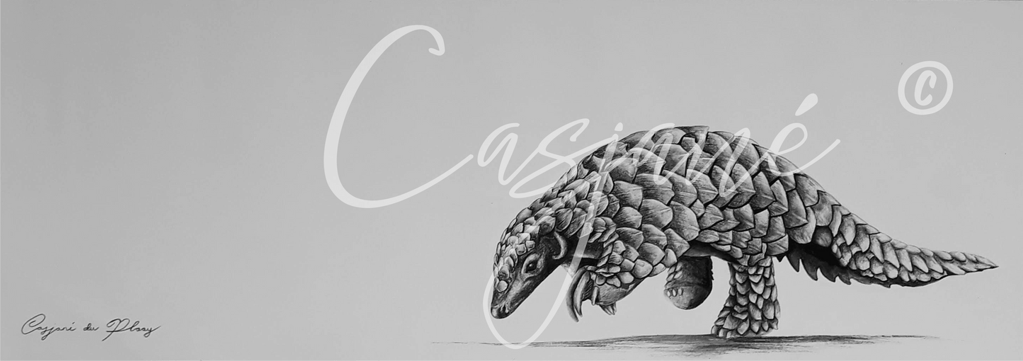 Scavenger - Casjané du Plooy Art