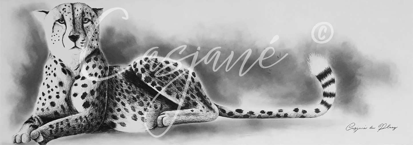 Laziness - Casjané du Plooy Art