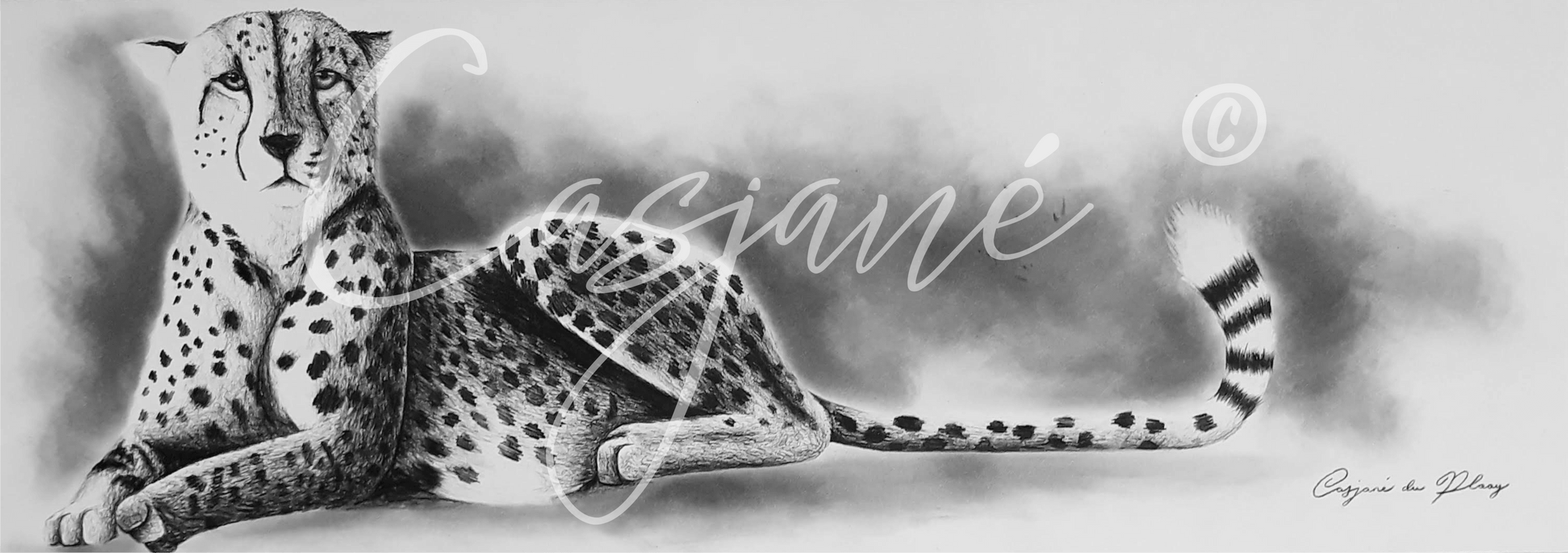 Laziness - Casjané du Plooy Art