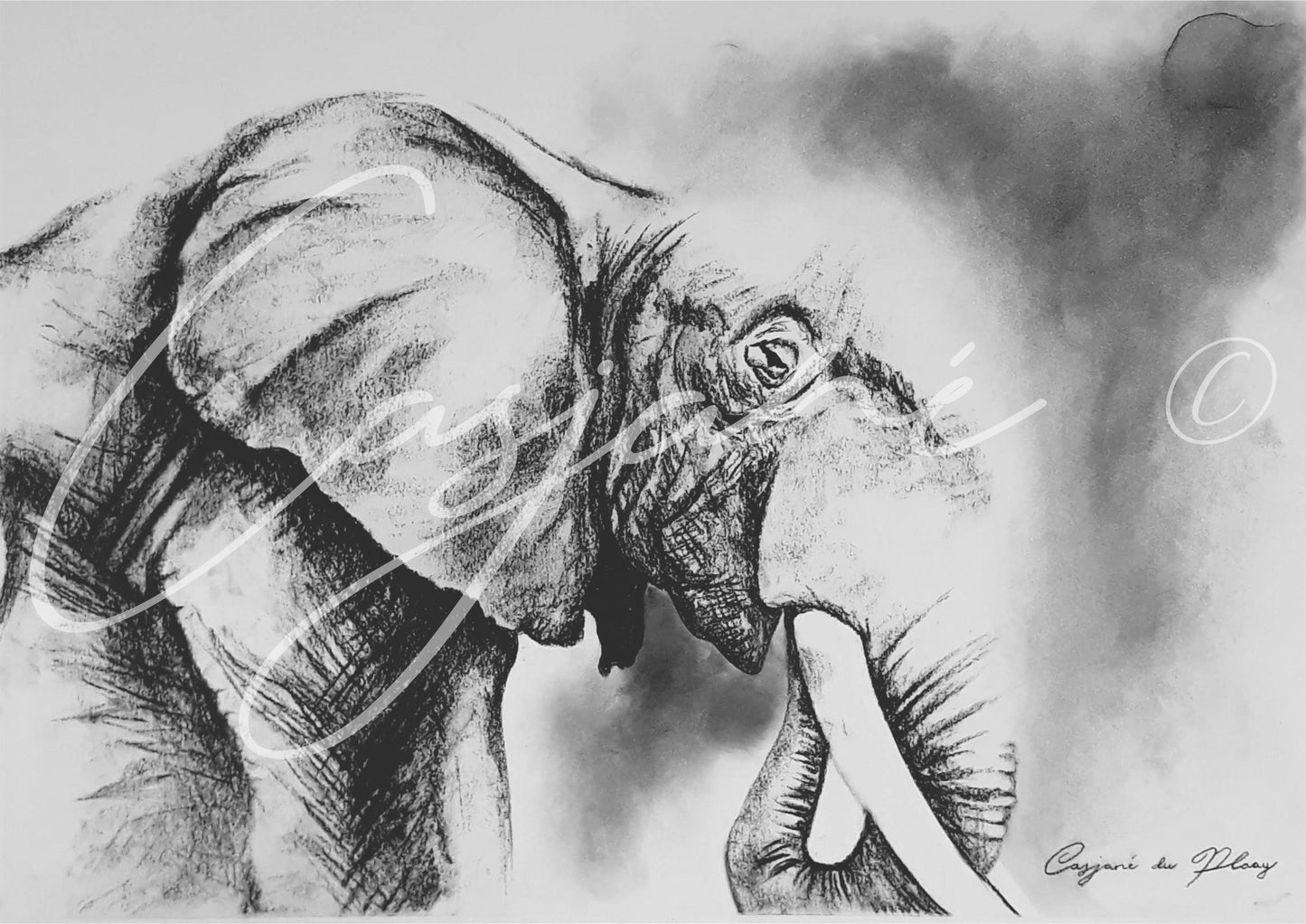 Old Age - Casjané du Plooy Art
