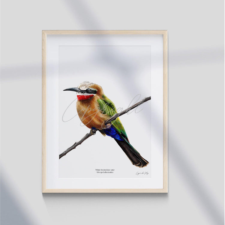 Art Prints