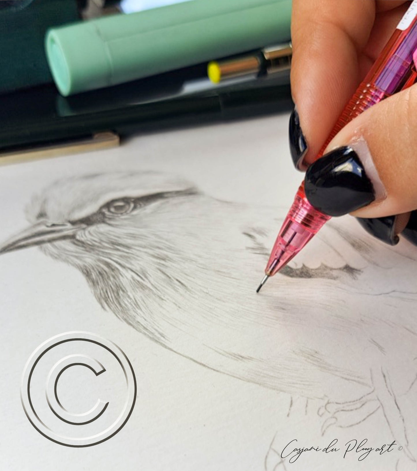 Lilac-breasted Roller – Original Graphite Drawing (420 × 148 mm)