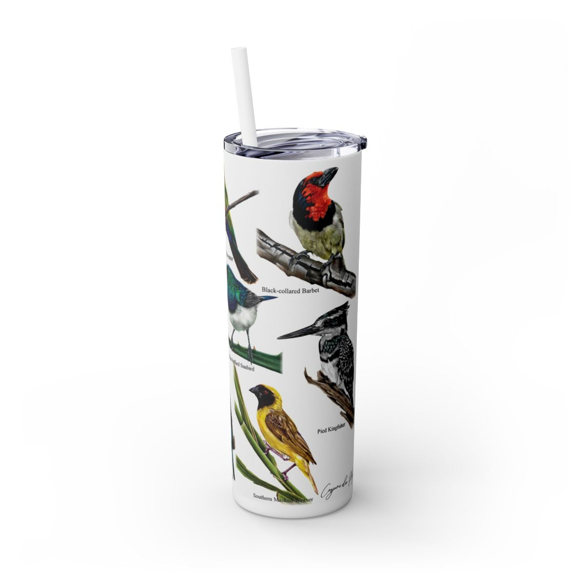 Bird collection 20oz Stainless Steel Tumbler view 1 hand-drawn by Casjane du plooy art