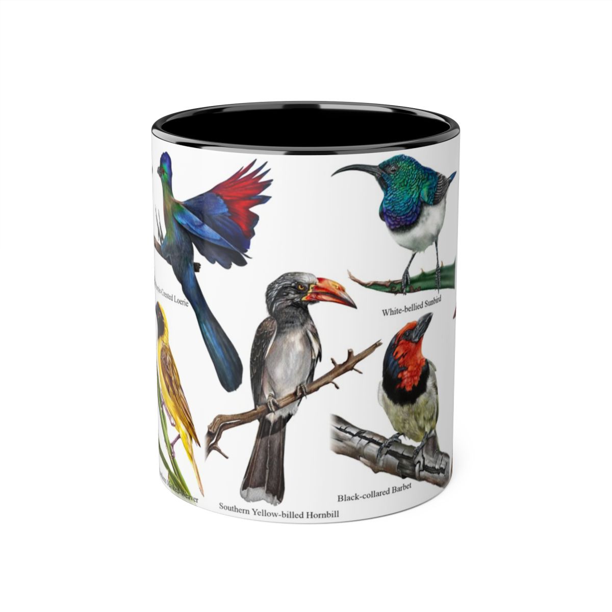 Bird collection ceramic coffee mug front view hand-drawn by Casjané du plooy Art 