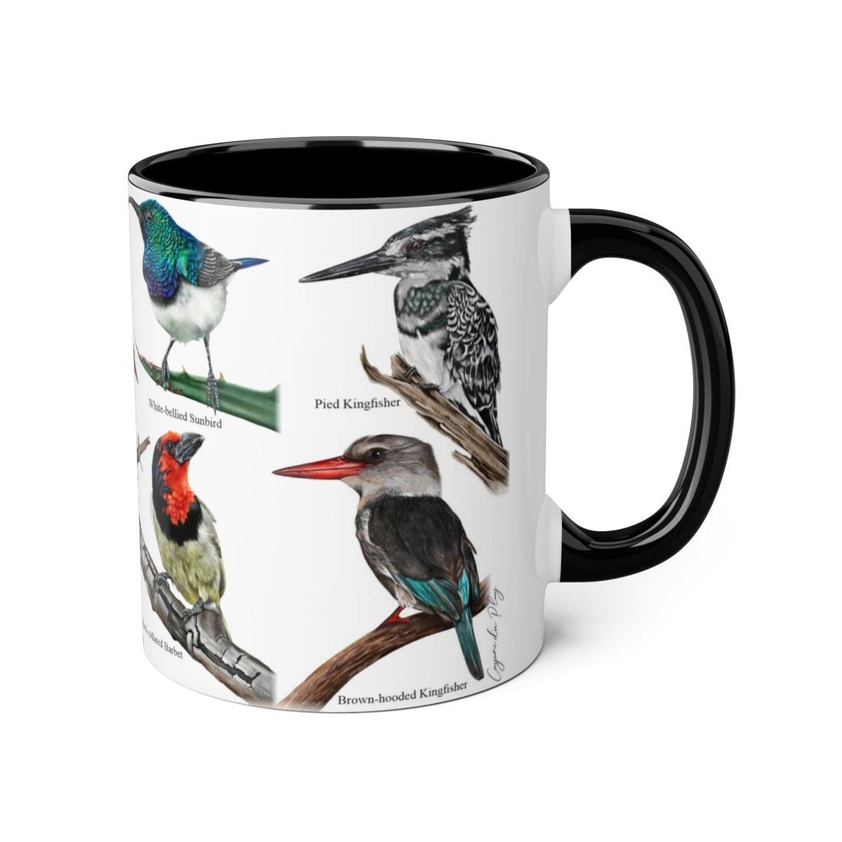 Bird collection ceramic coffee mug right view hand-drawn by Casjané du plooy Art 