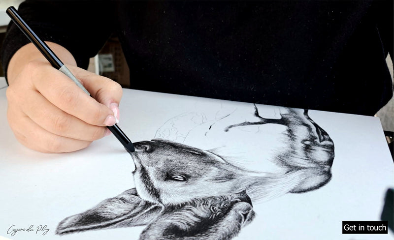 Casjane drawing a Wild dog in charcoal