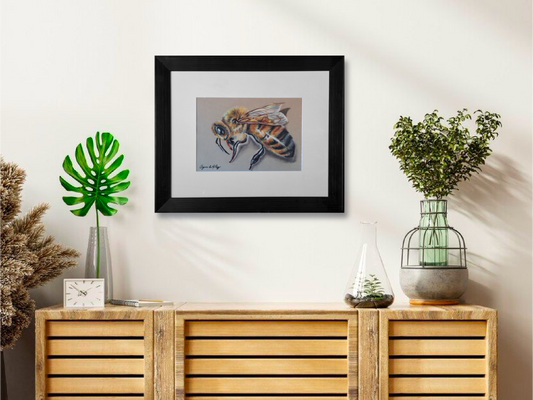 Hand sketched bee in pastel done by Casjané du plooy art on white wall