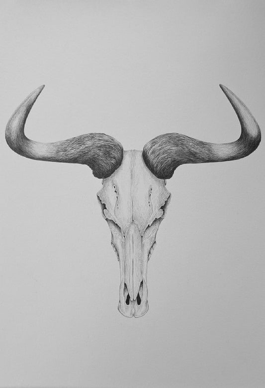 Original Hand-Drawn Blue Wildebeest Skull | Graphite Wildlife Art