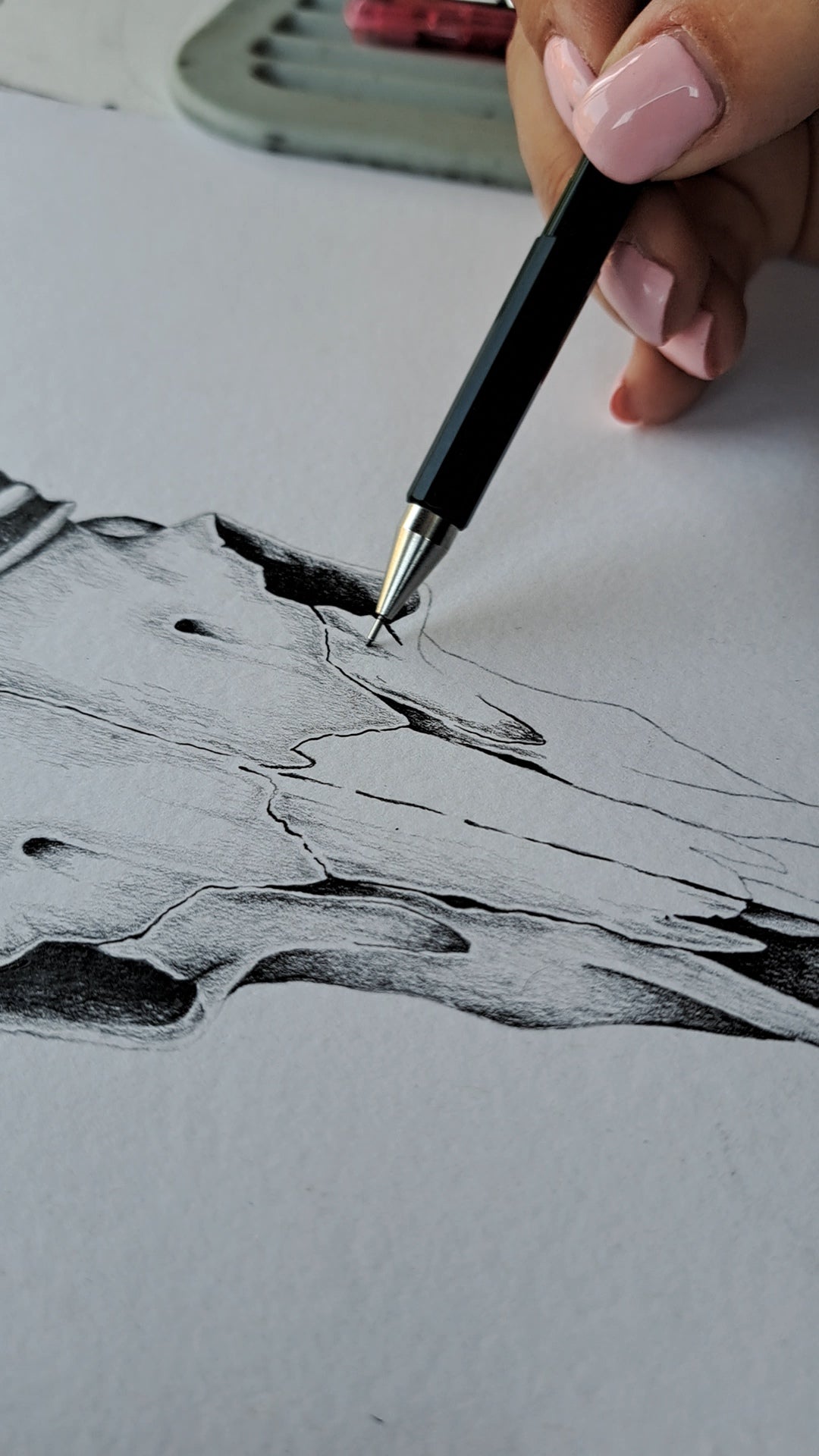 Original Hand-Drawn Impala Skull | Graphite Wildlife Art