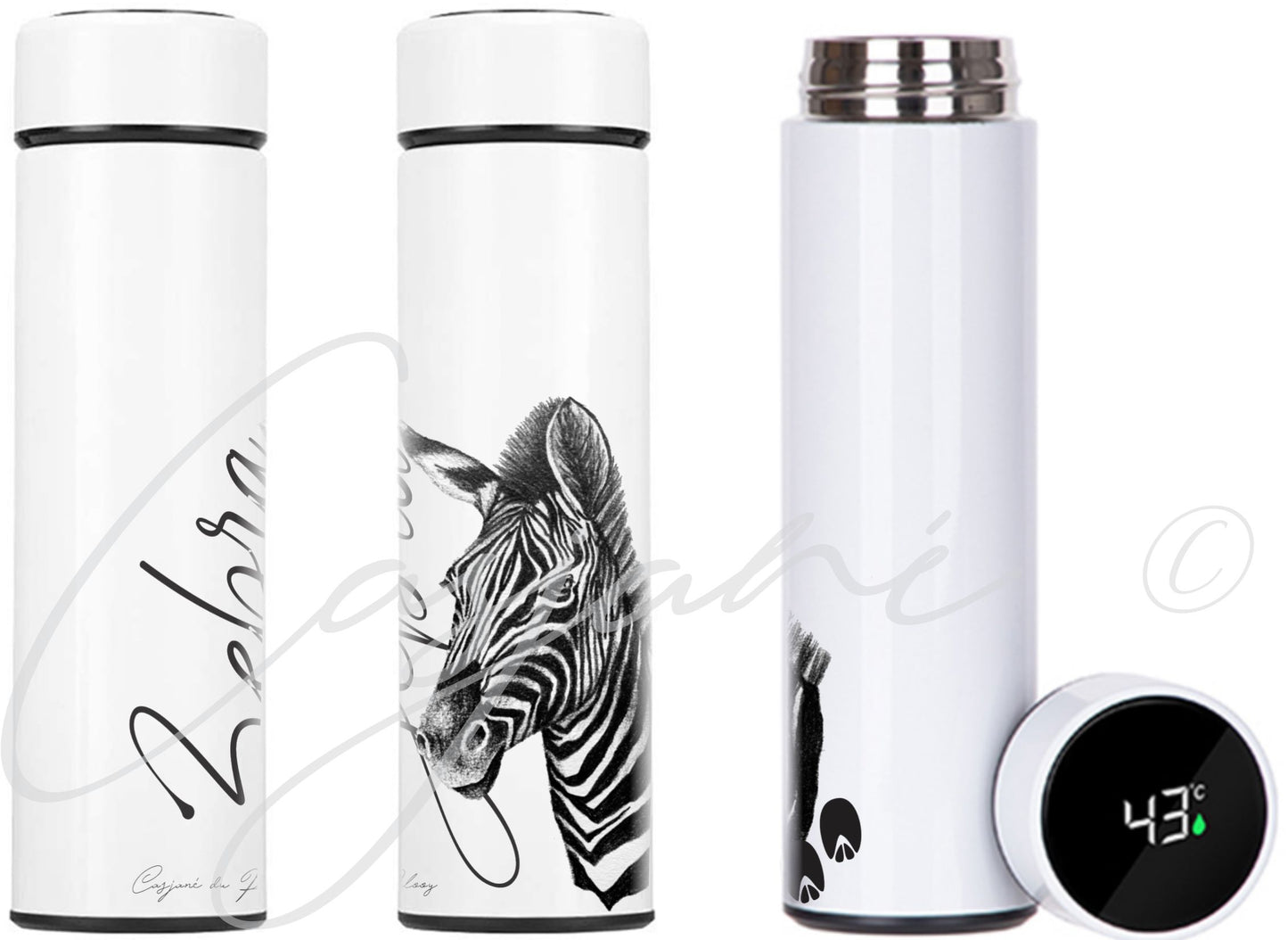 Zebra 450ml Thermal flasks front view - Hand-Drawn by Casjané du plooy Art 