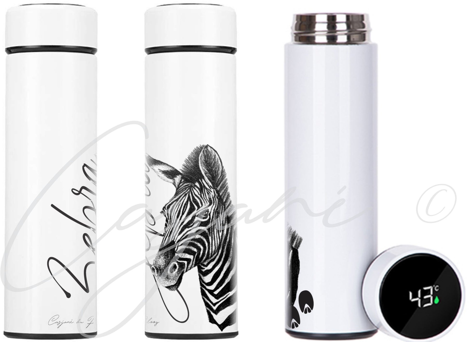 Zebra 450ml Thermal flasks front view - Hand-Drawn by Casjané du plooy Art 